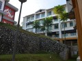 Tn 231 DSC 8241